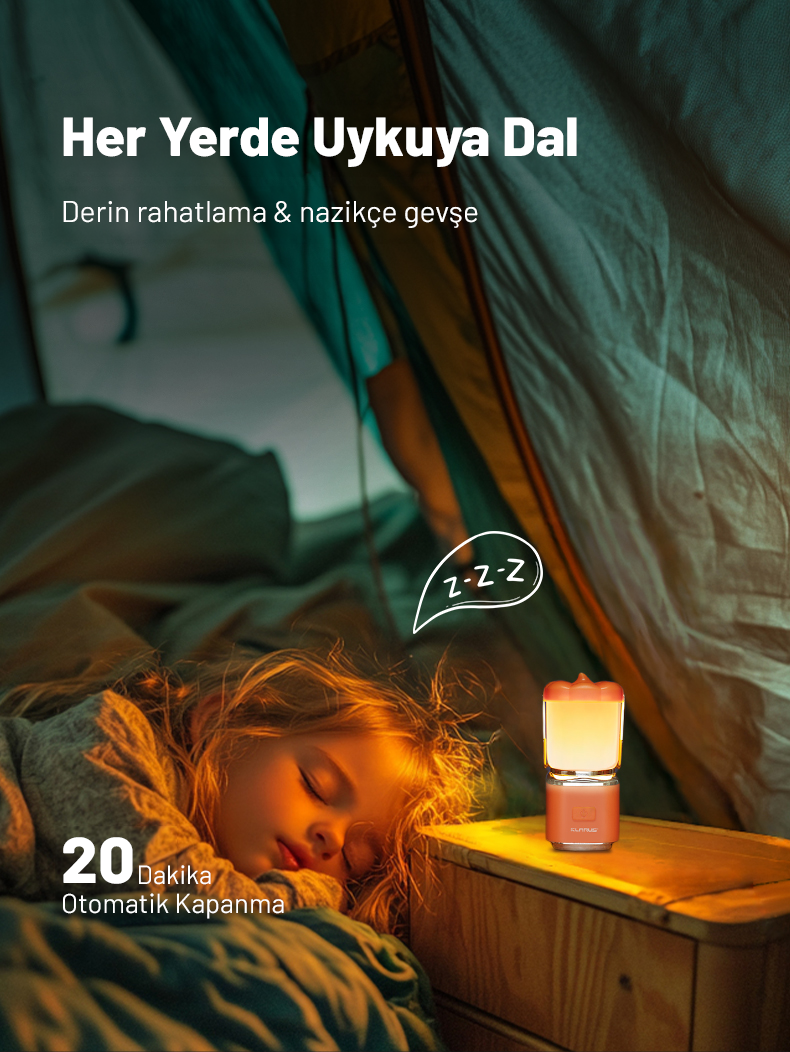 Detay Görseli